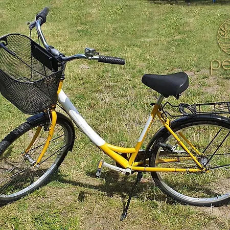 Pesus Ziemia Apartament Z Dobrą Energią