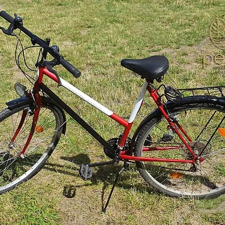 Pesus Ziemia Apartament Z Dobrą Energią